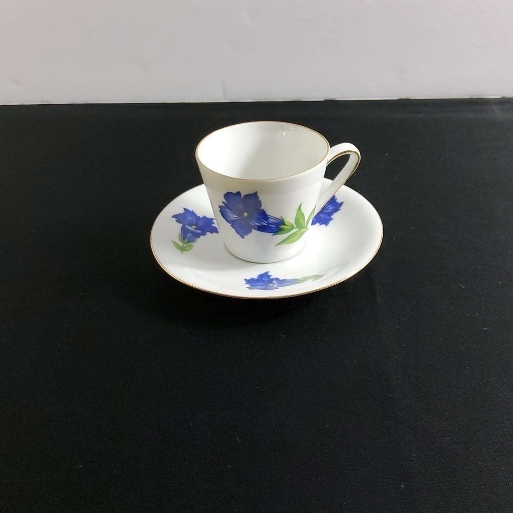 Bavaria Germany Teacup & Saucer